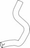 DINEX 53231 Exhaust Pipe